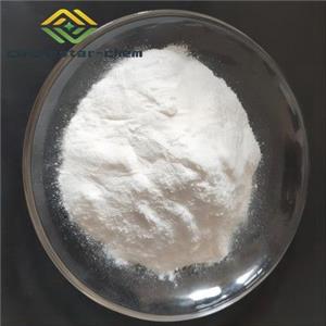 N-ISOPROPYLMETHACRYLAMIDE