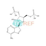 Bucladesine Impurity 5 pictures