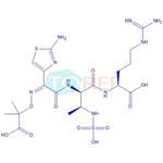 Aztreonam and Arginine Polymerization Impurity 2 pictures