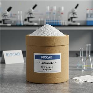 Ropivacaine Mesylate