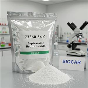 Bupivacaine Hydrochloride