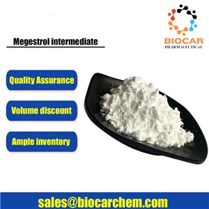 17-hydroxy-6-methylenepregn-4-ene-3,20-dione 17-acetate