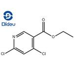 Ethyl 4,6-dichloronicotinate pictures