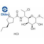 Clindamycin hydrochloride pictures