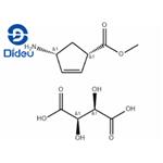 (1R,4S)-Methyl 4-aMinocyclopent-2-enecarboxyla pictures