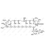 Amphotericin B EP Impurity B pictures