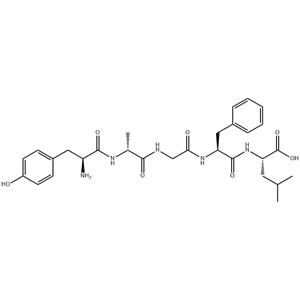 (D-Ala2)-Leu-Enkephalin