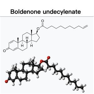 Boldenone Undecylenate;EQ;Equipoise;Bold Un