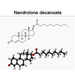 Nandrolone Decanoate;Deca;ND;Nand Deca