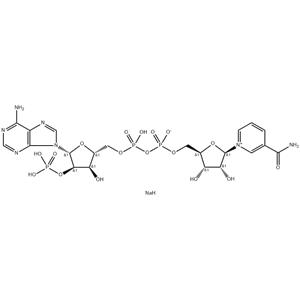 NADP, Disodium Salt