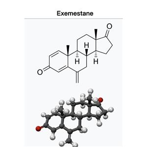 Exemestane;Aromasin;EXE