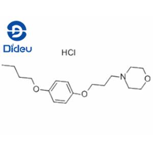 Pramoxine hydrochloride