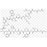 11096-26-7 Erythropoietin (EPO)  3000iu