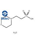 145224-94-8 MES monohydrate