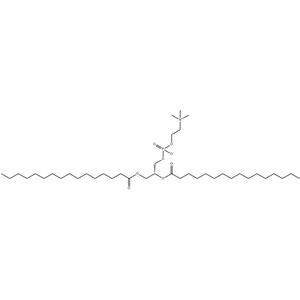 1,2-Dipalmitoyl-sn-glycero-3-phosphocholine