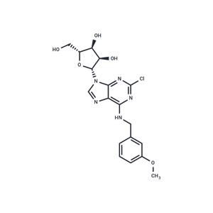 2'-Chloro-N6-(3-methoxy)benzyl ? adenosine