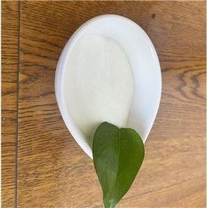 ETHYL LAUROYL ARGINATE HCL