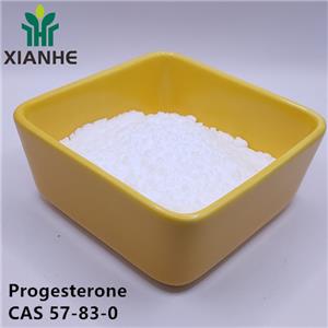 Progesterone