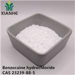 23239-88-5 Benzocaine hydrochloride