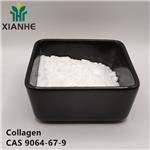 9064-67-9 Collagen