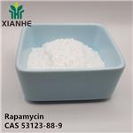 53123-88-9 Rapamycin