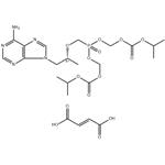 Tenofovir disoproxil fumarate pictures