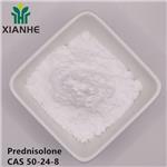 50-24-8 Prednisolone