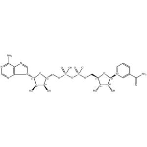 Thionicotinamide adenine dinucleotide
