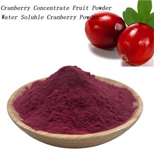 Cranberry Concentrate Fruit Powder Cranberry Extract Water Soluble Raw Material