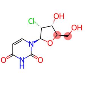 2'-CHLORO-2'-DEOXYURIDINE