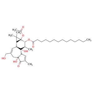 Phorbol-12-myristate-13-acetate