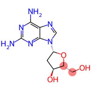 2,6-Diaminopurine 2'-deoxyriboside