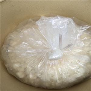 tris(nonylphenyl)phosphite