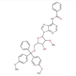 5'-DMT-2'-OMe-Bz-A