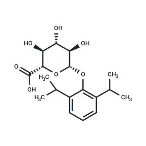 Propofol β-D-Glucuronide