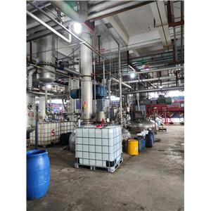 Dodecyl Methacrylate