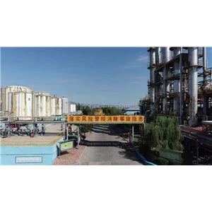 Ethylene Glycol Monopropyl Ether