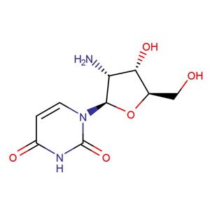 2'-Amino-D-uridine