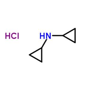 Dicyclopropylamine hydrochloride