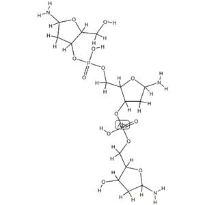 Deoxyribonucleic Acid