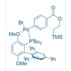 tBuBrettPhos Pd G6 TES