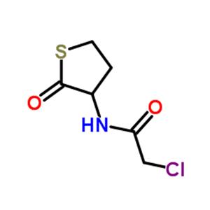 2-CHLORO-N-(2-OXO-3-THIENYL)ACETAMIDE