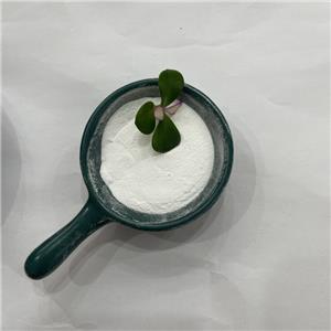 Testosterone Decanoate