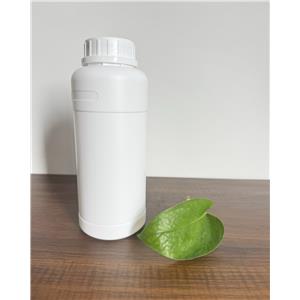 2-Fluoro-6-trifluoromethylpyridine