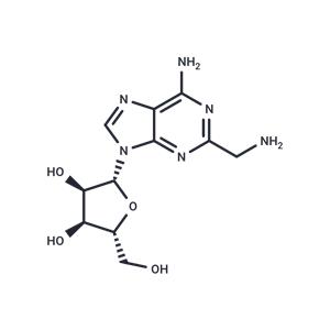 2-Aminomethyl ? adenosine