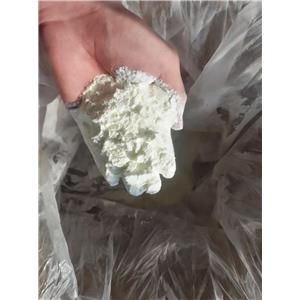 Testosterone Undecanoate