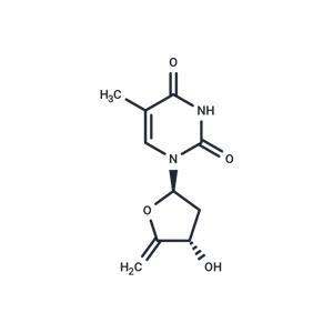 4',5'-Didehydro-5'-deoxythymidine
