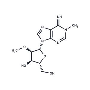 2'-O-Methyl-N1-methyladenosine