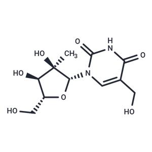 5-Hydroxymethyl-2'-C-methyluridine