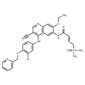 Neratinib dimethylamine N-oxide